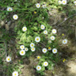 Meet your Posher, Alex-ellie